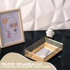 Bandeja de Vidro com Fundo Espelhado Coleção Decoração>Bandejas- Bandeja de Vidro com Fundo Espelhado Viva Lumi 